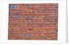 Brickwall by Assaf Frank